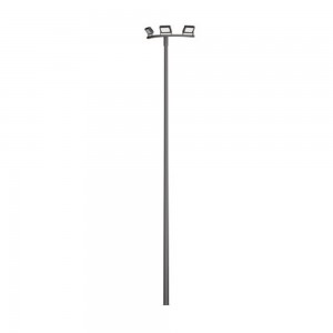 High Mast with Safety Cage Ladder