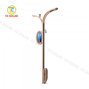 Smart City Modern Type Customized Function Wisdom Light Pole
